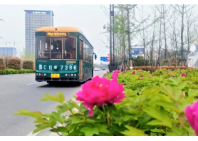 牡丹开出文旅新意 必一运动平台助洛阳迎盛会